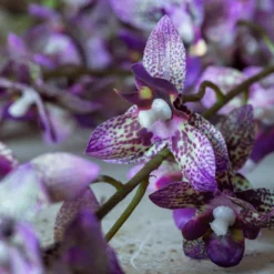 Artificial Oncidium Orchid Stem