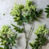 Artificial Pistachio Lilac Stem