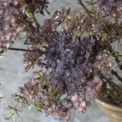 Artificial Purple Queen Anne's Lace Stem