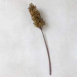 Artificial Sorghum Stem, Umber