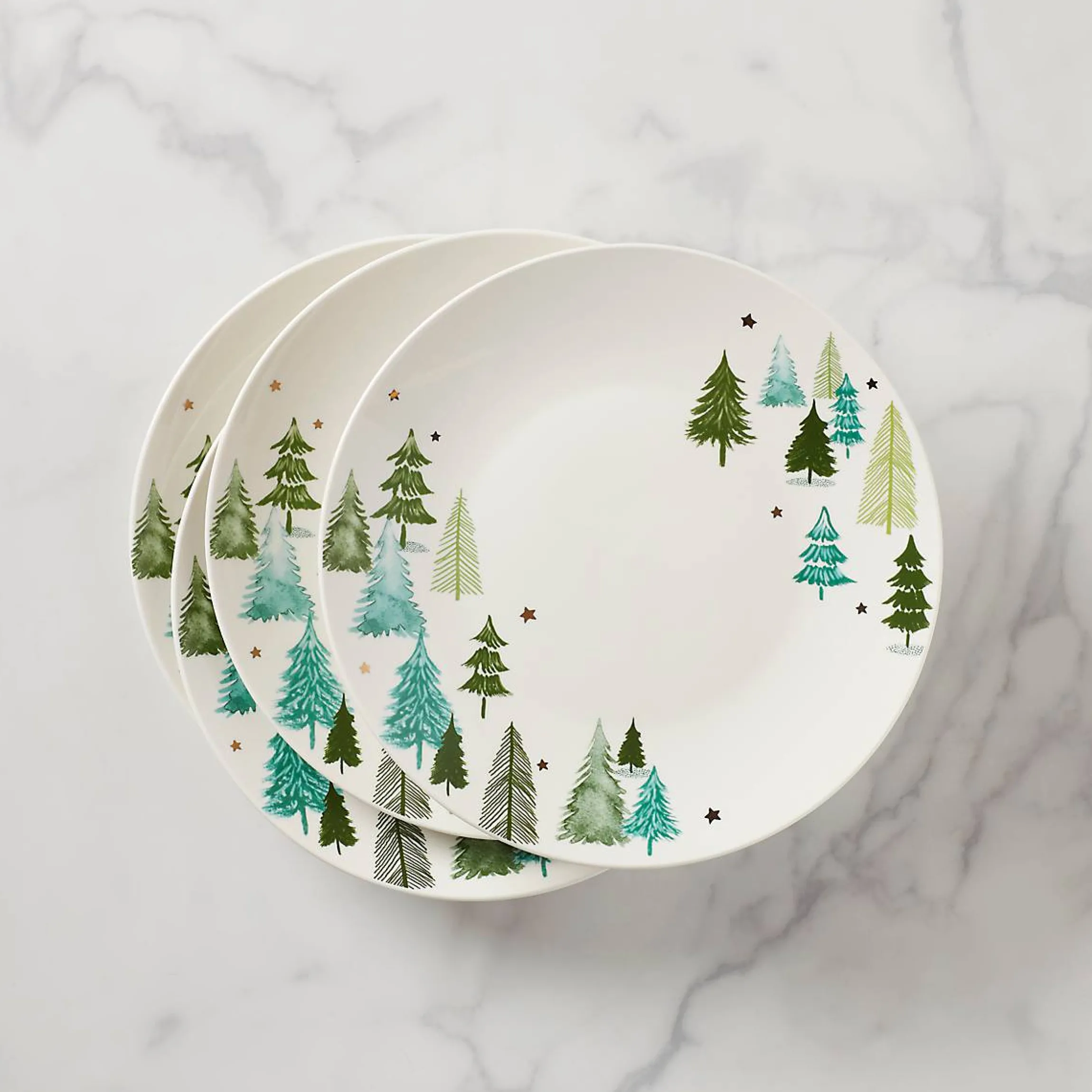 Balsam Lane Dinner Plates, Set of 4