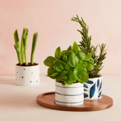Blue Bay Snack Bowls with Wood Tray, Set of 3