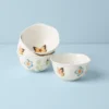 Butterfly Meadow 4-Piece Dessert Bowl Set