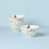 Butterfly Meadow Vines Rice Bowls, Set of 4