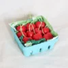 Cherry Beeswax Birthday Candles