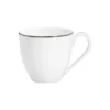 Continental Dining Platinum Teacup