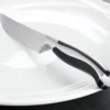Contour Steak Knives, Set of 4