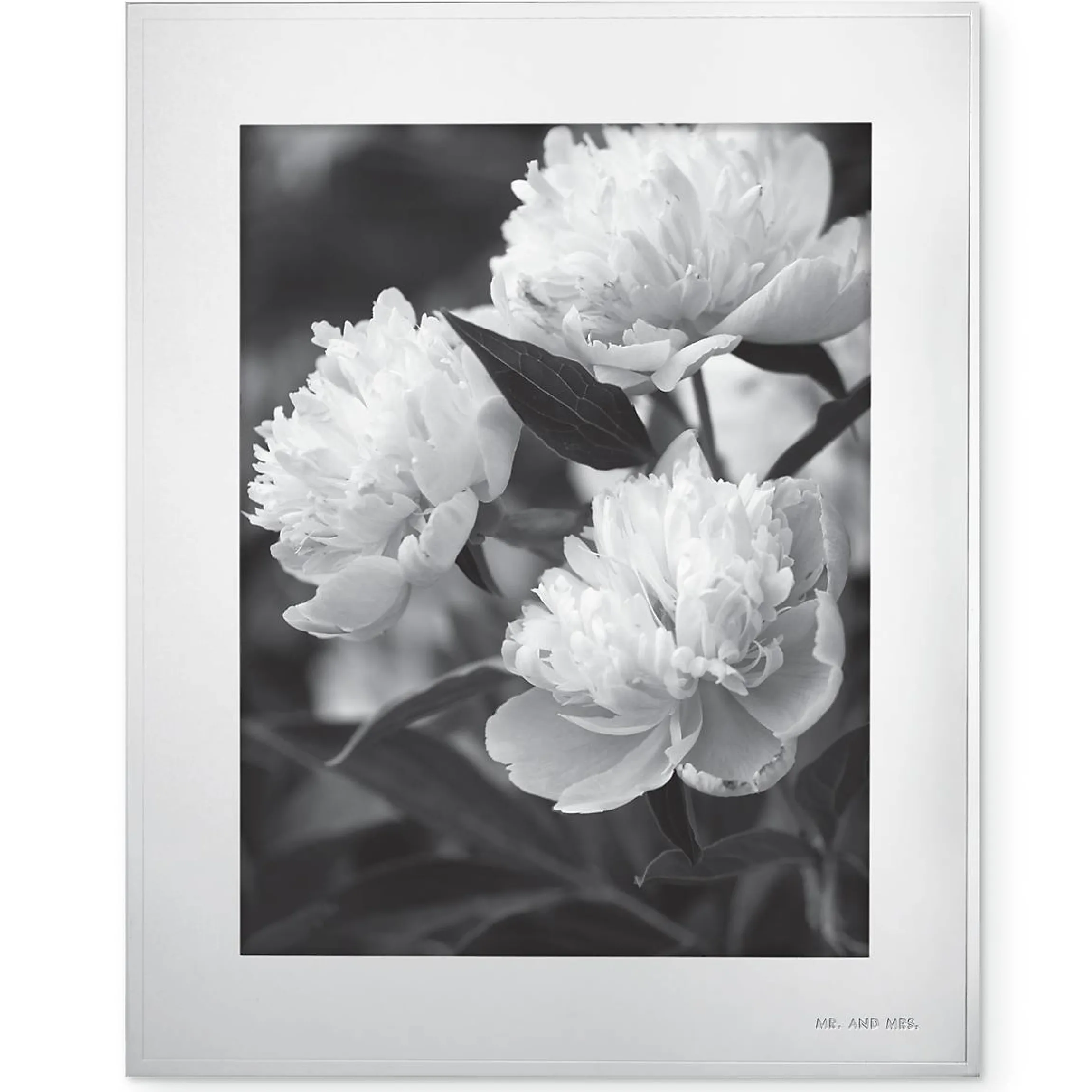 Darling Point 8x10 Photo Frame