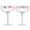 Floral Brights Coupe Glasses, Set of 2