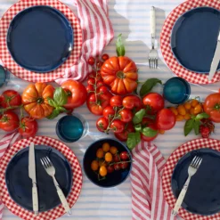 Gingham Red Dinner Plates, Set of 4
