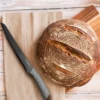 Raintree Ash 13-Piece Cutlery Block Set
