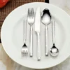 Shangrila Frosted 20-Piece Flatware Set