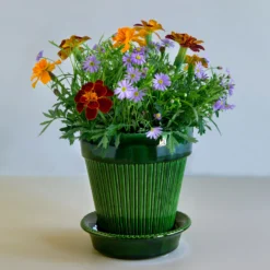 Simona Glazed Emerald Green 12cm Pot with Saucer