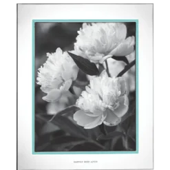 Take The Cake 8x10 Photo Frame