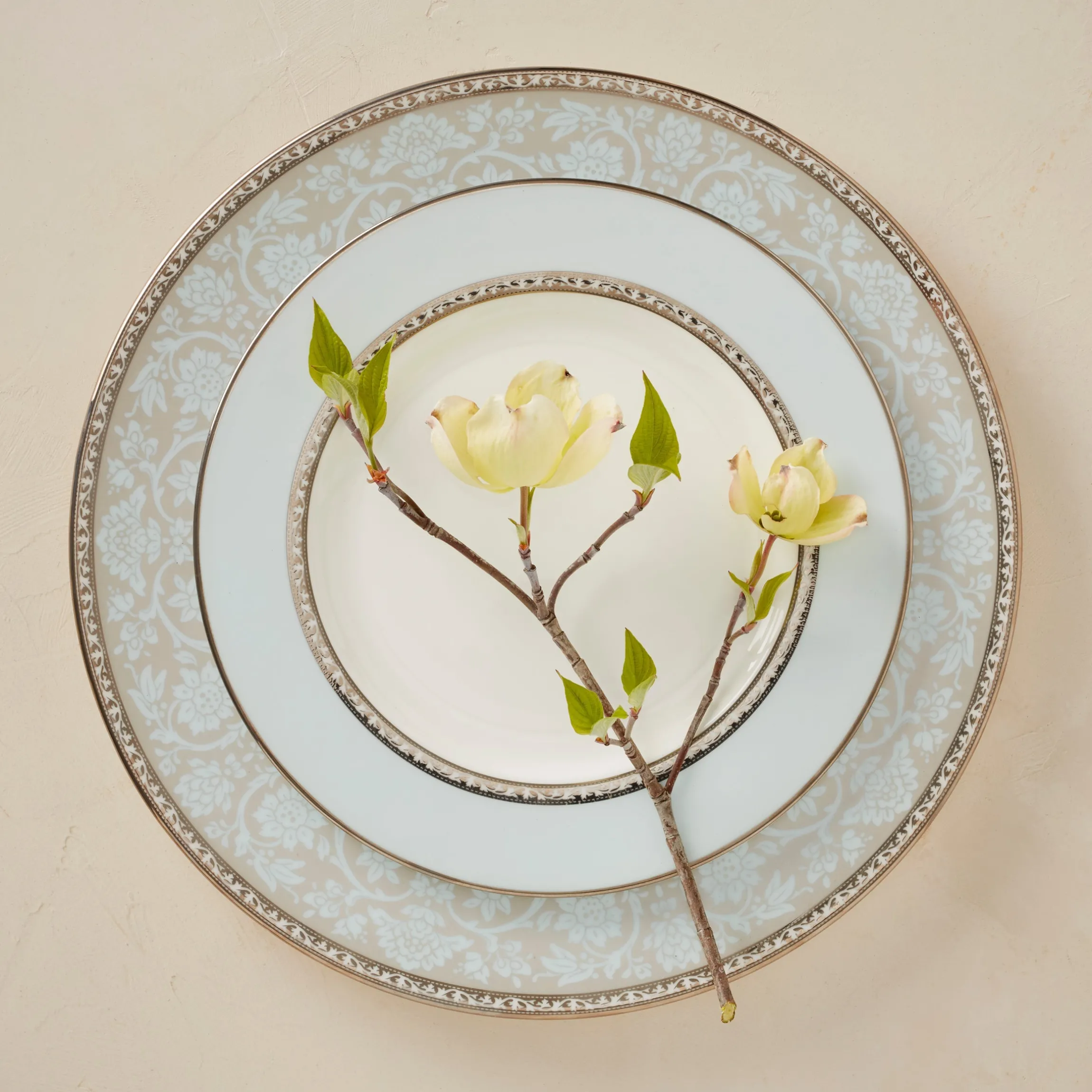 Westmore Dinner Plate